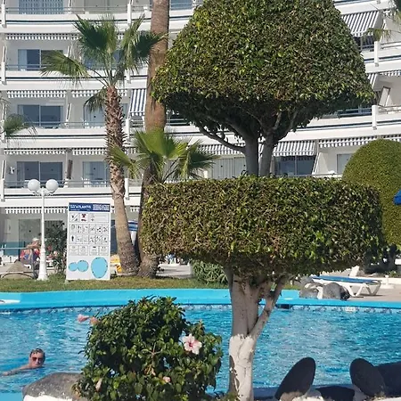 Apartamento Apartamento Puerto Colón Costa Adeje (Tenerife)